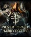 keep_calm_and_never_forget_harry_potter_by_gamergirl929-d5osihd
